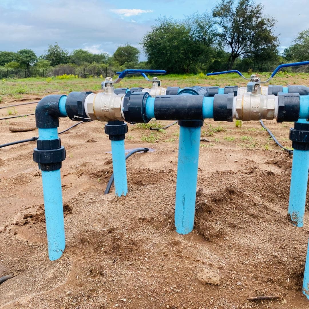 Drip Irrigation System